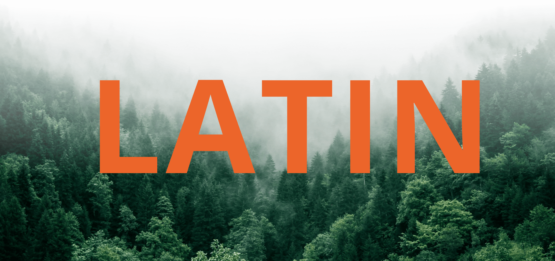 Latin Portfolio Juicebox